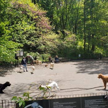 Riverside Dog Park photo 1